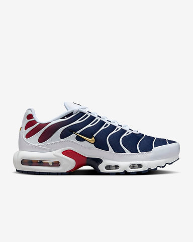 NIKE AIR MAX PLUS PSG